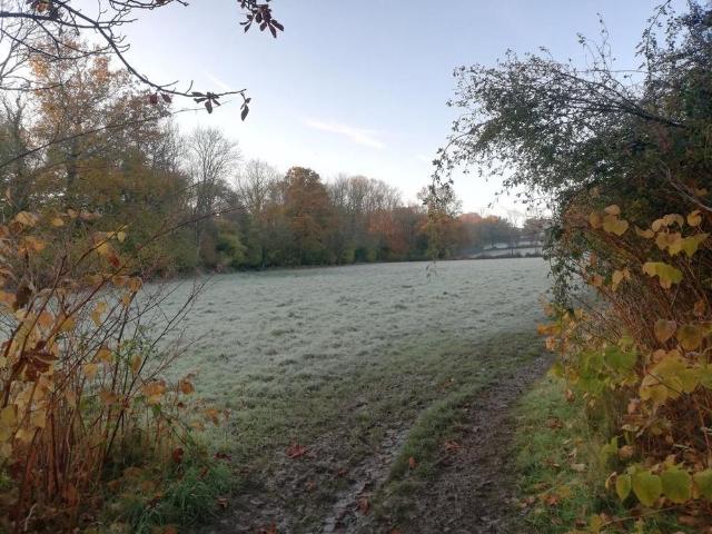 Room for rent in Perryfields, West Sussex