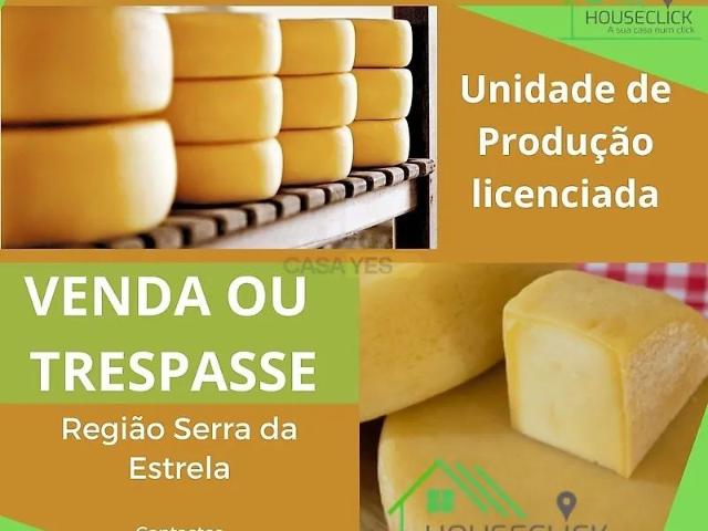 Estúdio alugar em Guarda, Sabugal