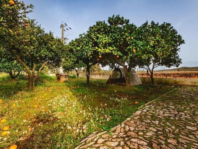 Casa alugar em Estremoz, Évora