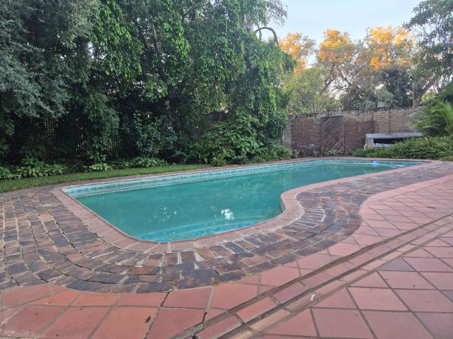 House for rent in Limpopo