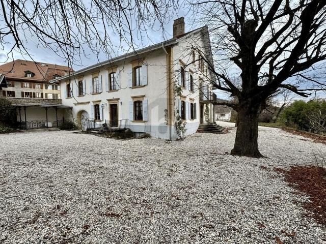 Haus kaufen in Bonvillars, Waadt