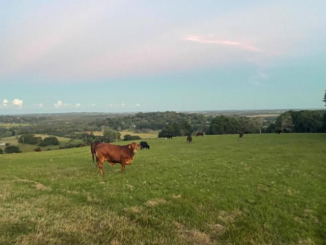 House for sale in Cumbalum, New South Wales