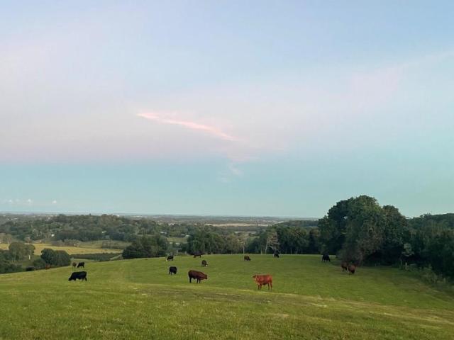 House for sale in Cumbalum, New South Wales