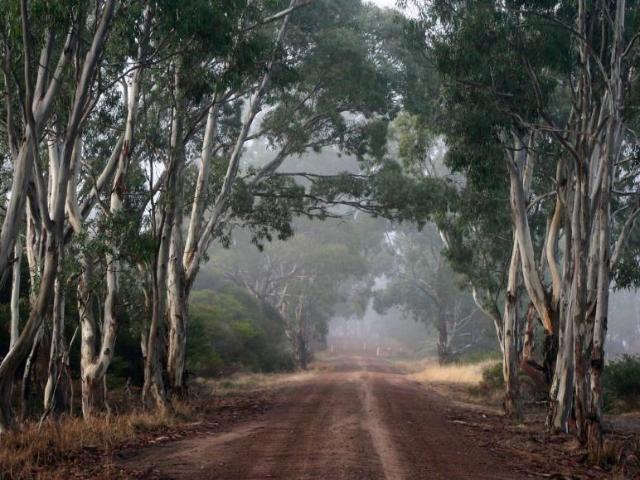 House for rent in Edenhope, Victoria