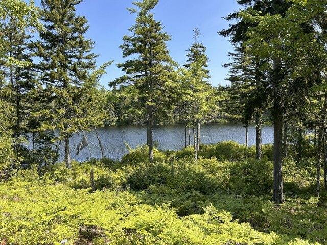 House for sale in Maine