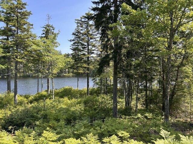 House for sale in Maine