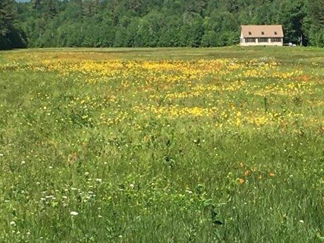 House for sale in Phillips, Maine