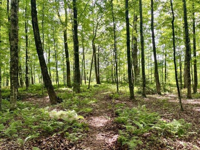 House for sale in West Paris, Maine
