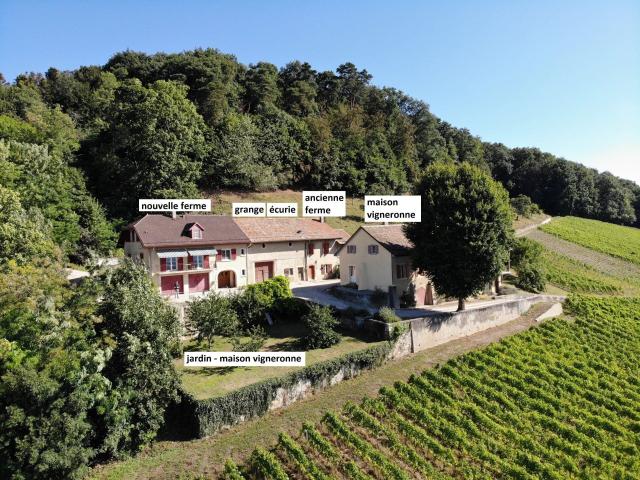 Haus kaufen