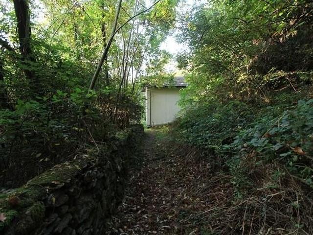Haus kaufen