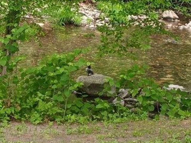 House for sale in Brattleboro, Vermont