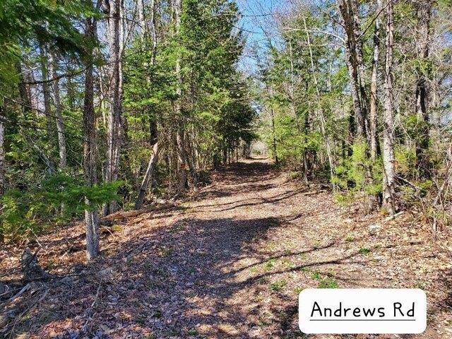 House for sale in Corinth, Maine