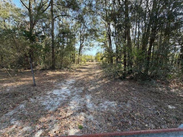 House for sale in Fort White, Florida