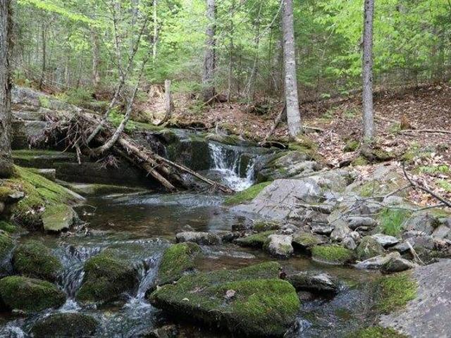 House for sale in Greenville, Maine