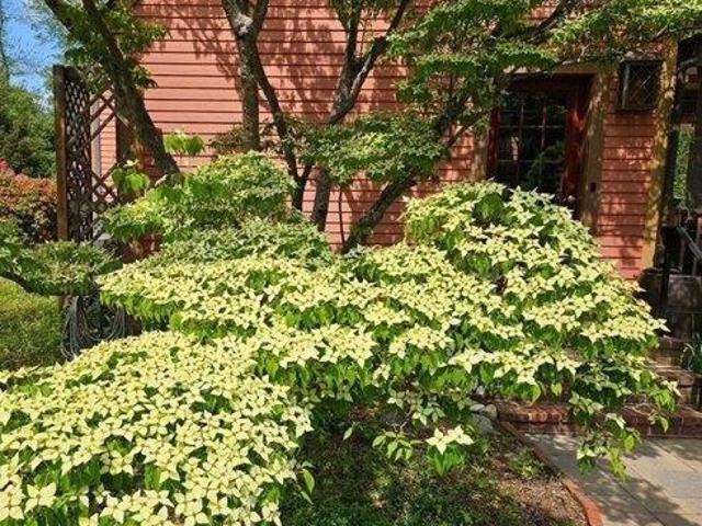 House for sale in Ipswich, Massachusetts