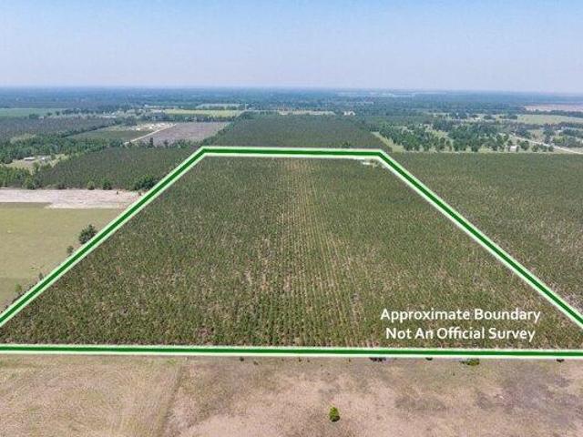 House for sale in Live Oak, Florida