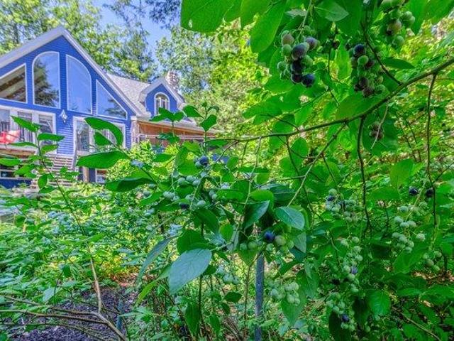 House for sale in Norway, Maine
