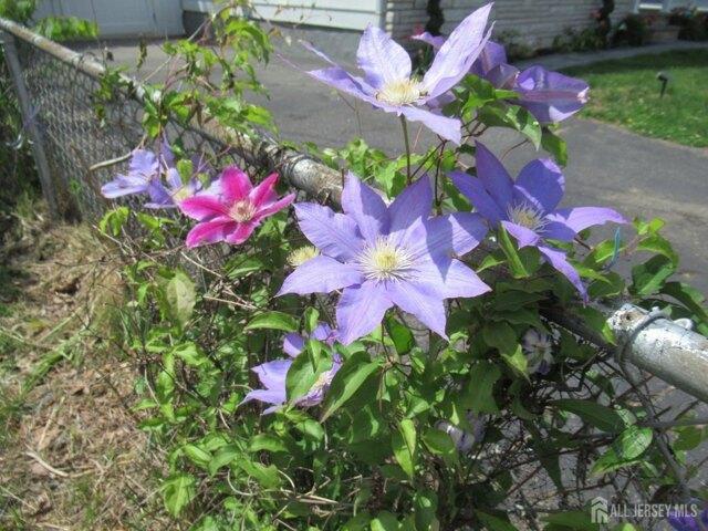 House for sale in Sayreville, New Jersey