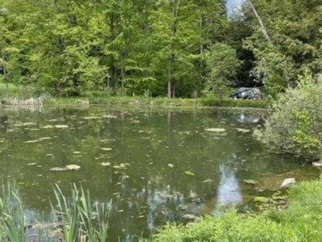House for sale in South Woodstock, Vermont