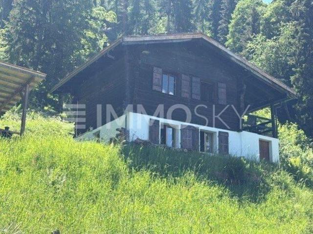 Haus kaufen
