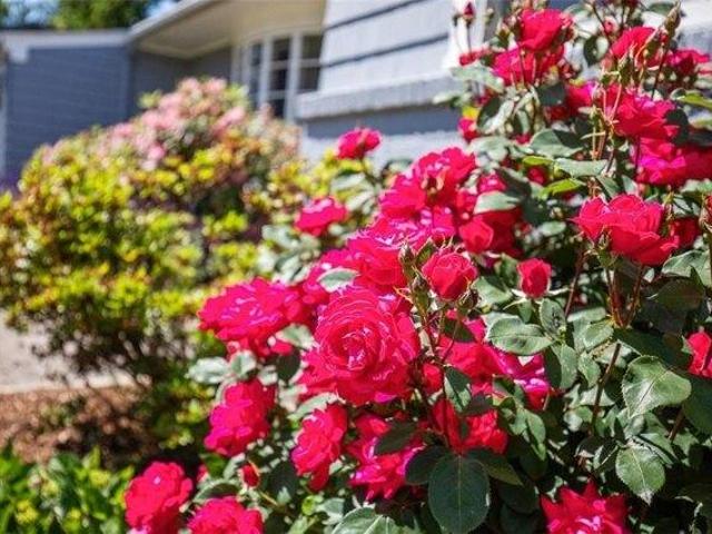 House for sale in Barrington, Rhode Island
