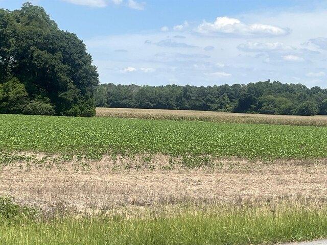 House for sale in South Carolina