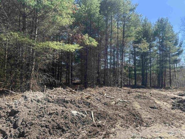 House for sale in Brandon, Vermont