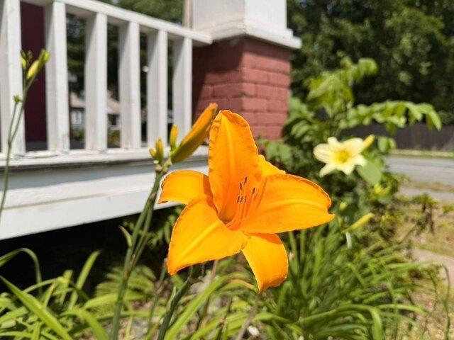 House for sale in Brattleboro, Vermont