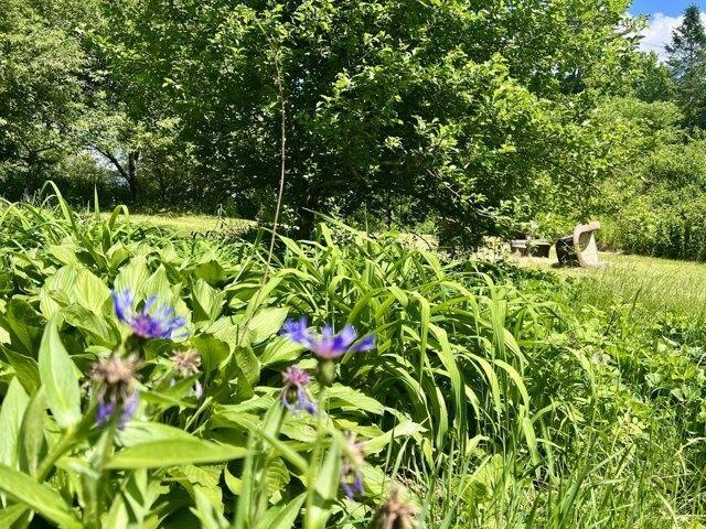 House for sale in Waldo, Maine