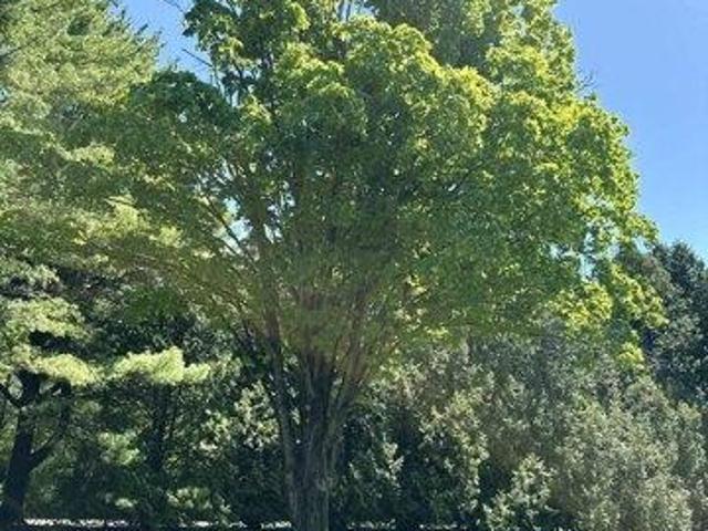 House for sale in North Ferrisburg, Vermont