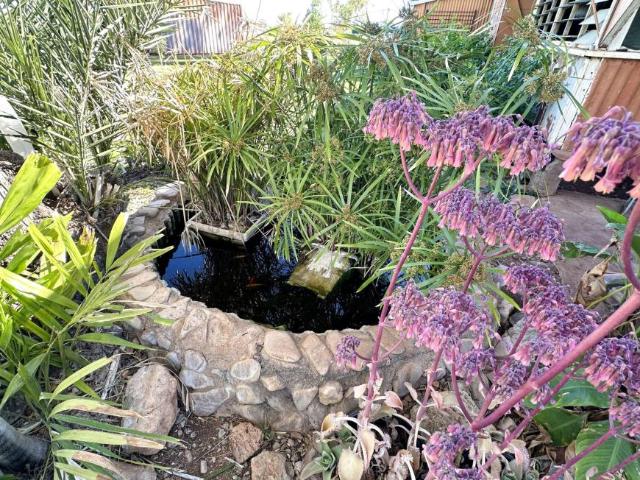House for sale in Cloncurry, Queensland