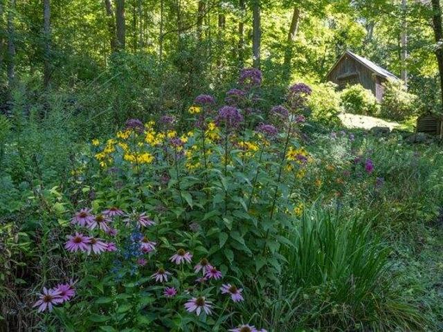 House for sale in Cornwall, Connecticut