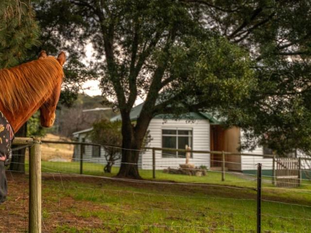 House for sale in Cygnet, Tasmania