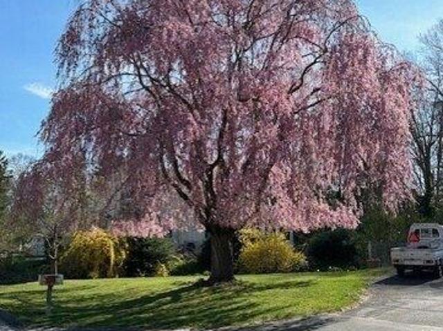 House for sale in Deep River, Connecticut