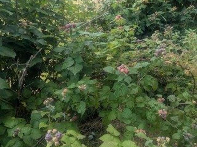 House for sale in Dexter, Maine