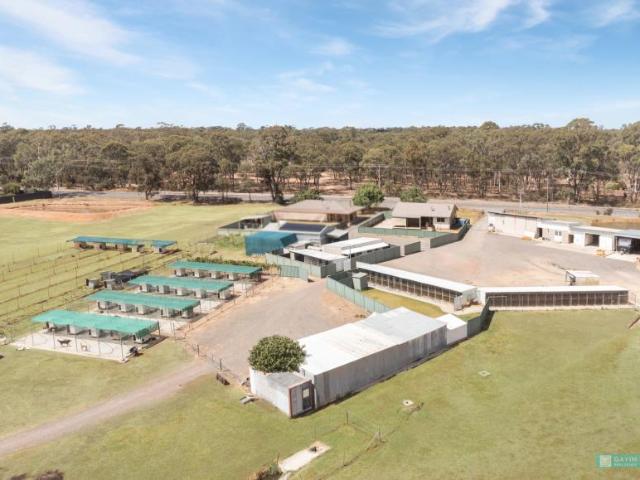 House for sale in Bendigo, Victoria
