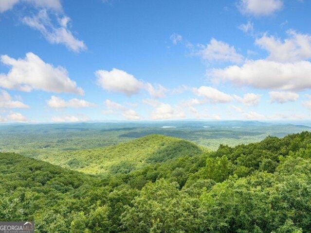 House for sale in Ellijay, Georgia