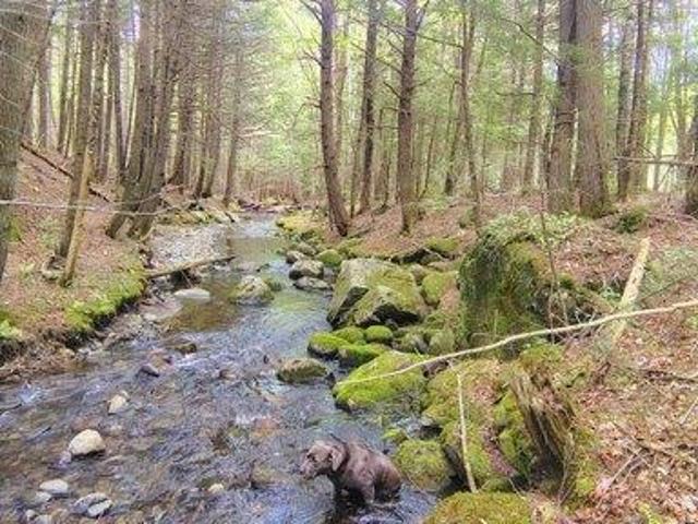 House for sale in Farmington, Maine