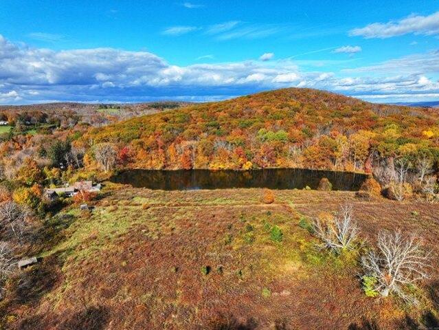 House for sale in Kent, Connecticut