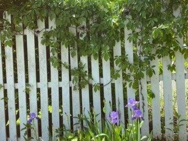 House for sale in Berkshire, Massachusetts