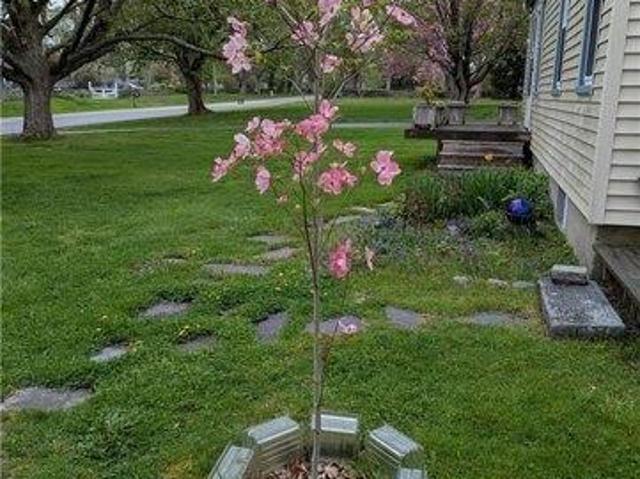 House for sale in Little Compton, Rhode Island