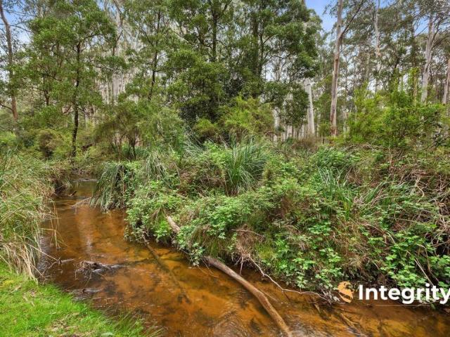 House for rent in Narbethong, Victoria