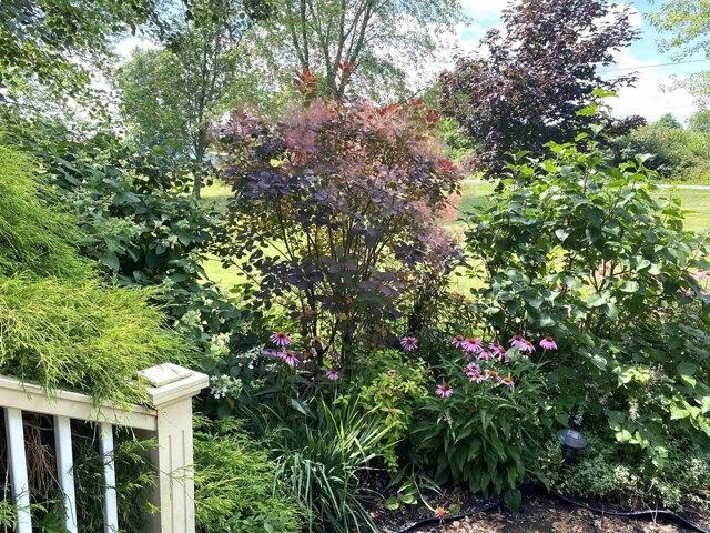 House for sale in New Haven, Addison County