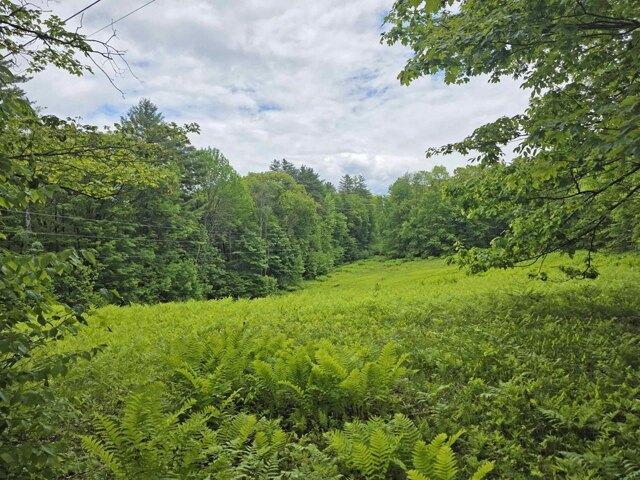 House for sale in Newfane, Vermont