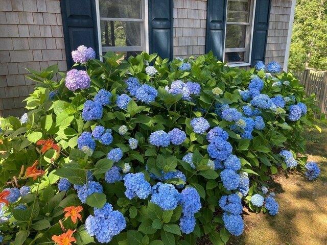 House for sale in Orleans, Massachusetts