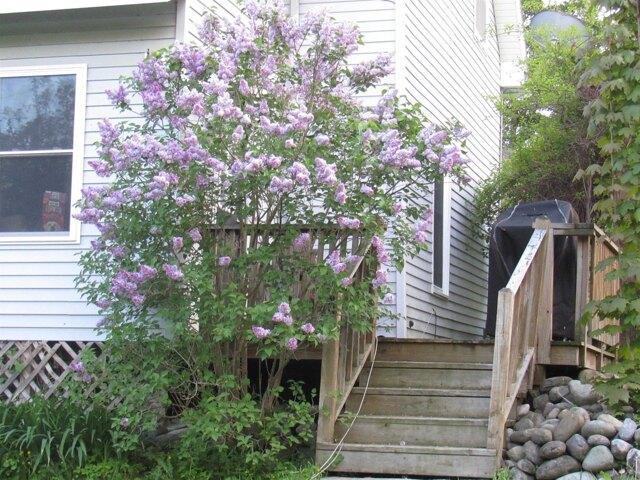 House for sale in Barton, Vermont