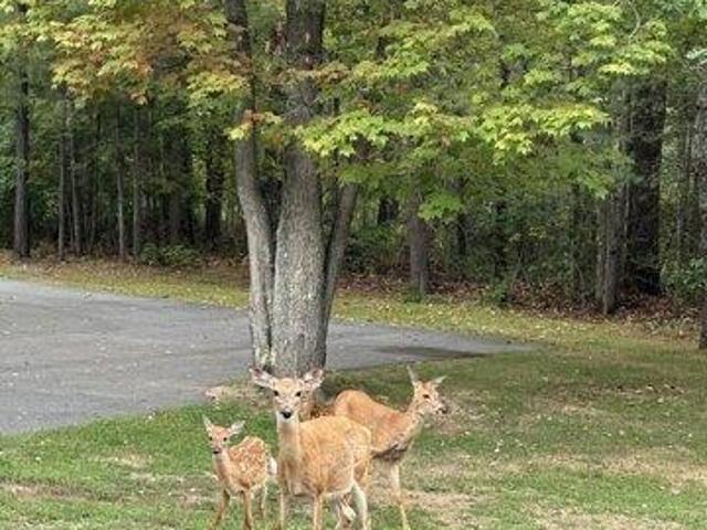 House for sale in Shapleigh, Maine