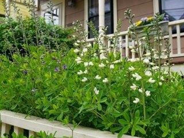 House for sale in Somerville, Massachusetts