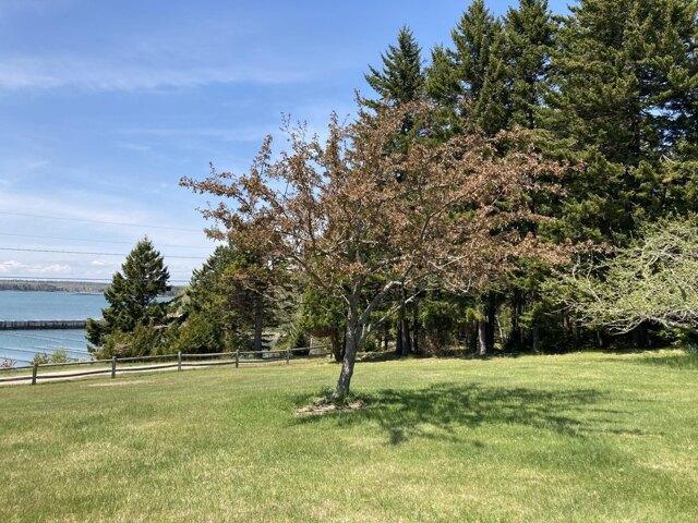 House for sale in Steuben, Washington County