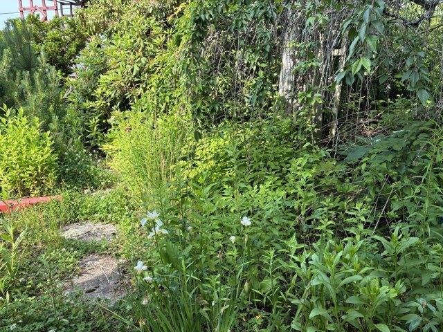 House for sale in Steuben, Washington County